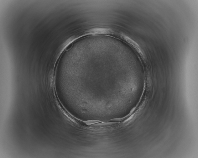 X0000116491473200912161309