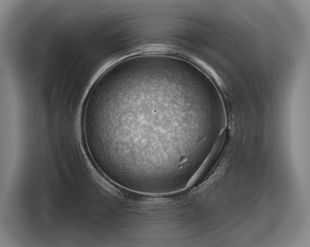 X0000116491475200912161309