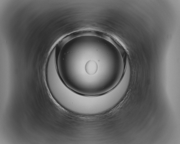 X0000116491476200912161309