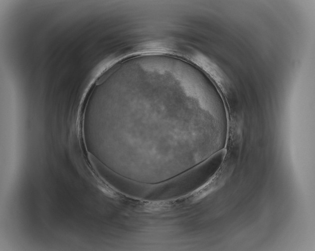 X0000116491477200912161309