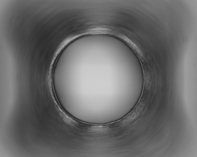 X0000116491478200912161309