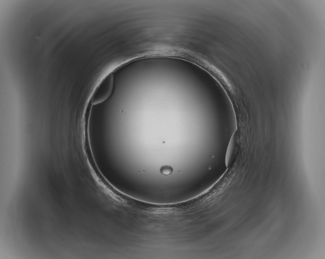 X0000116491479200912161309