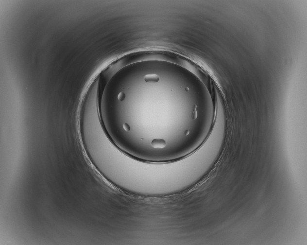 X0000116491480200912161309