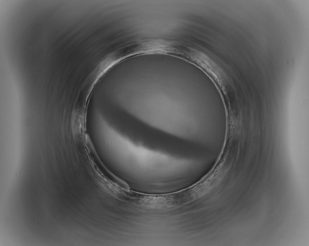 X0000116491481200912161308