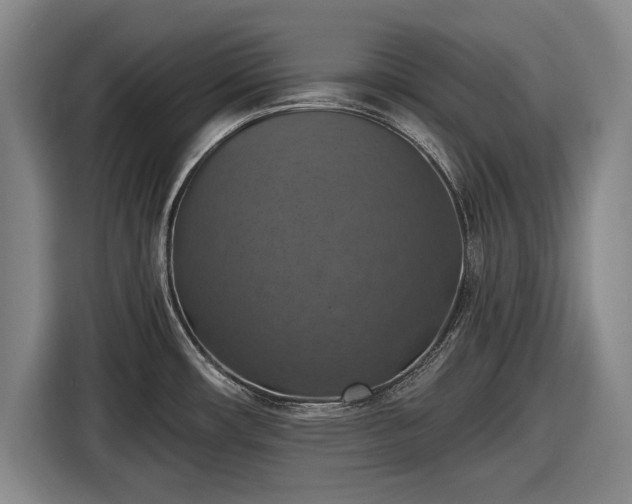 X0000116491482200912161308