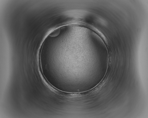 X0000116491483200912161308