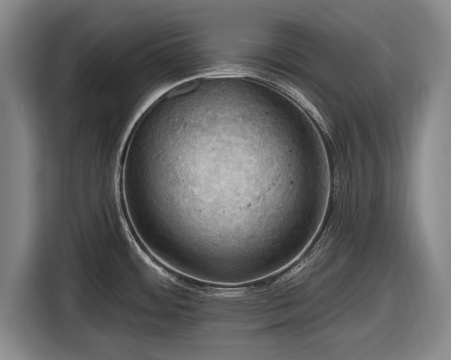 X0000116491484200912161308