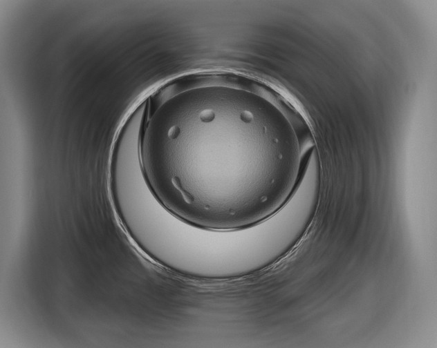 X0000116491485200912161308