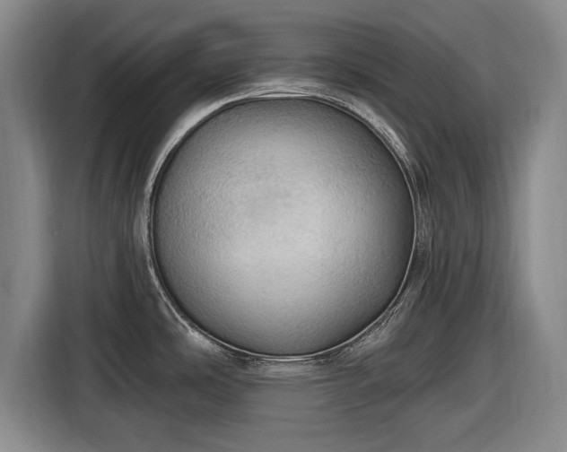 X0000116491486200912161308