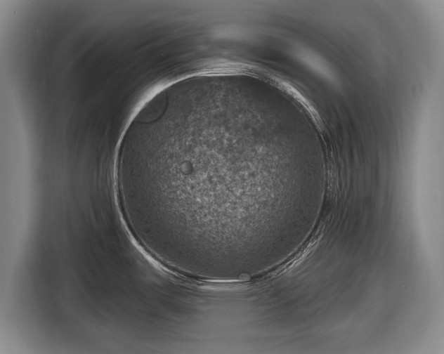 X0000116491487200912161308