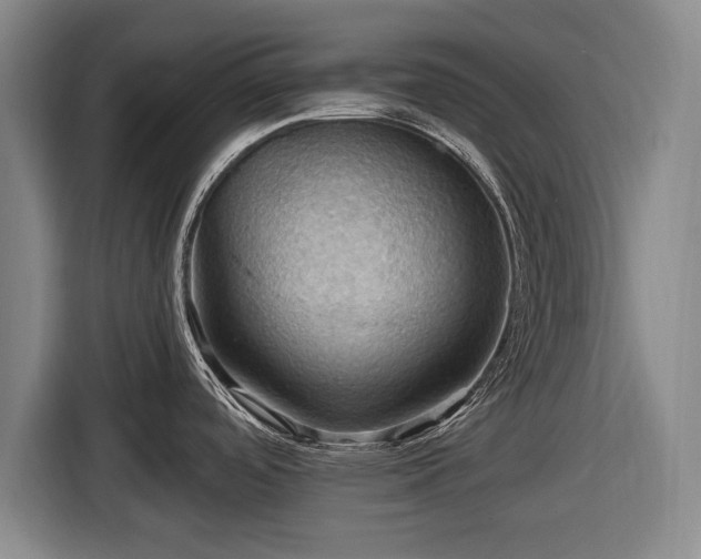 X0000116491488200912161308