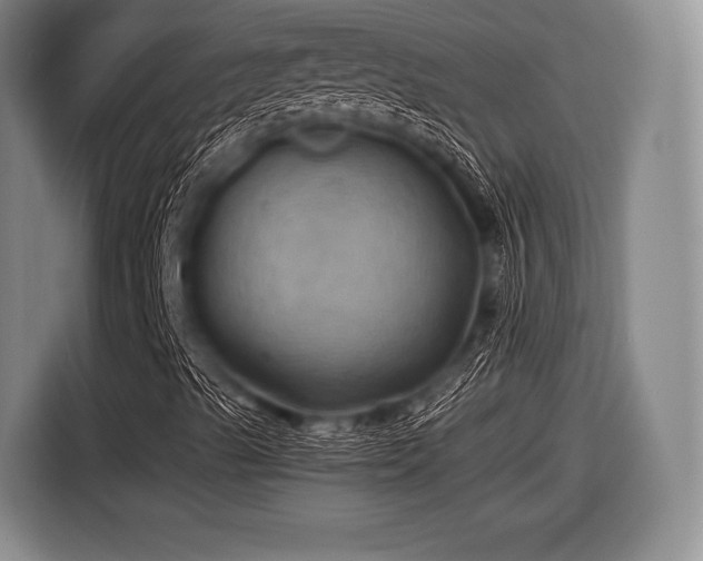 X0000116491489200912161308