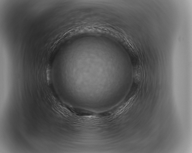 X0000116491490200912161308