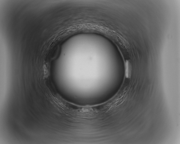 X0000116491491200912161308