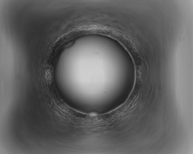 X0000116491493200912161308