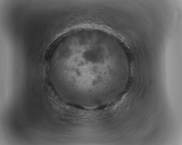 X0000116491494200912161308