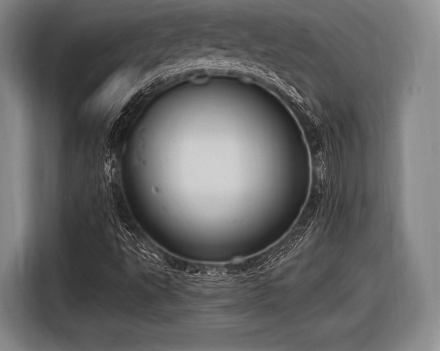 X0000116491495200912161308