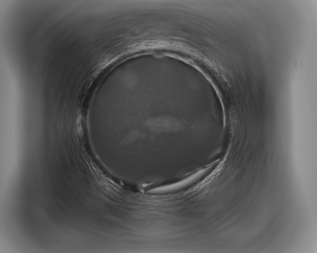 X0000116491497200912161308