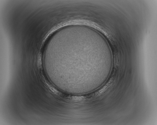 X0000116491498200912161308