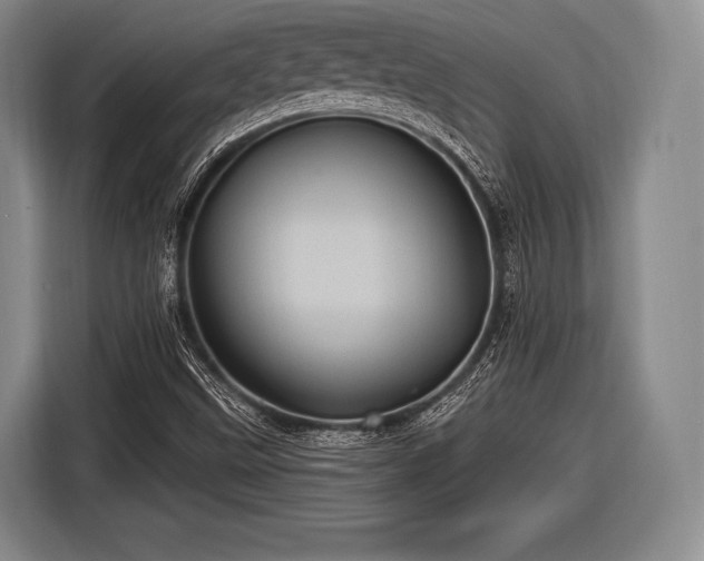 X0000116491499200912161308