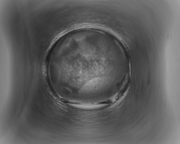 X0000116491501200912161308