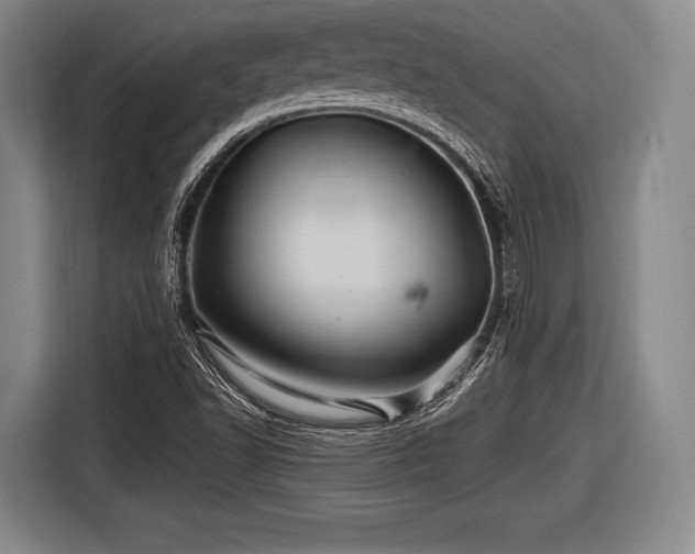 X0000116491502200912161308