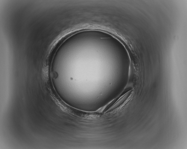 X0000116491503200912161308