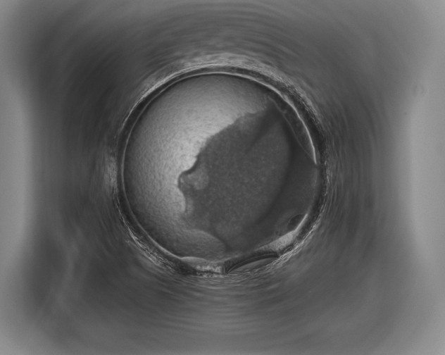 X0000116491505200912161308