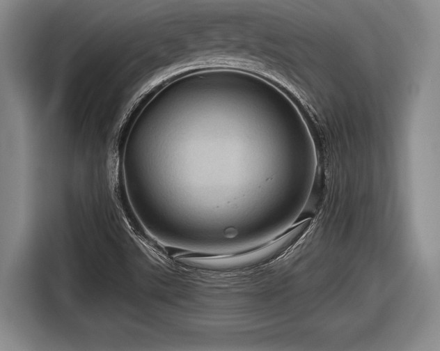 X0000116491507200912161308