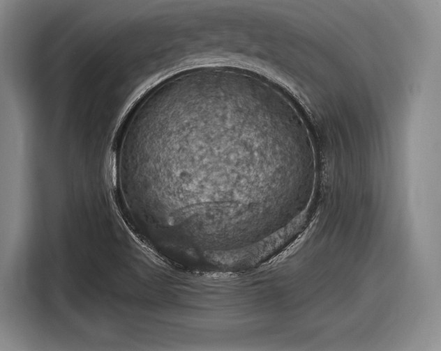 X0000116491509200912161308