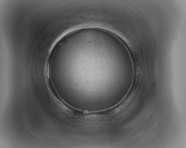 X0000116491510200912161308