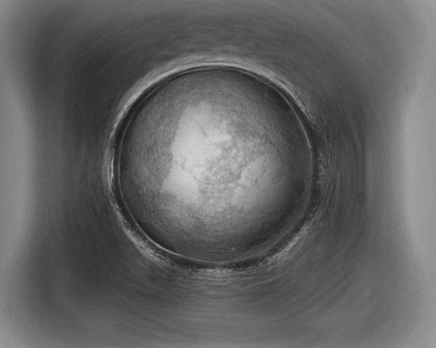 X0000116491511200912161308