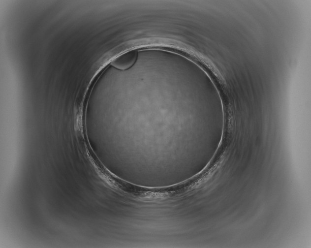 X0000116491513200912161308