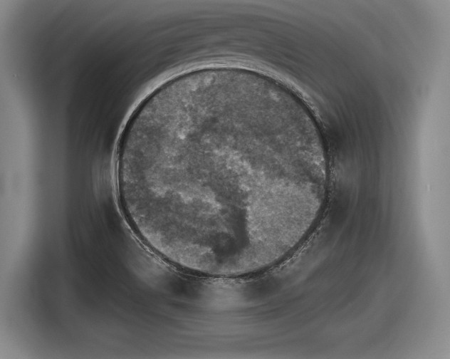 X0000116491514200912161308