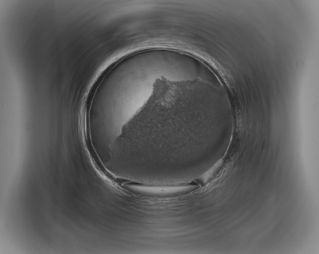 X0000116491515200912161308