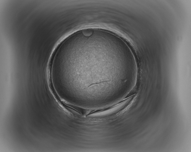 X0000116491517200912161308