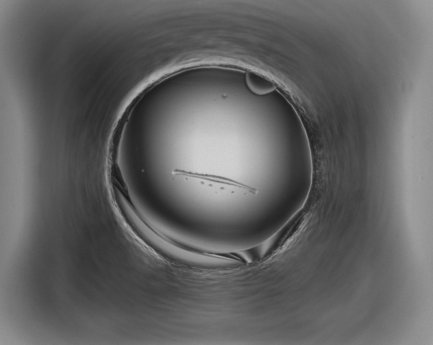 X0000116491518200912161308