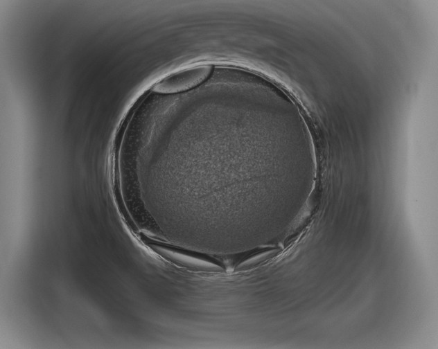 X0000116491519200912161308