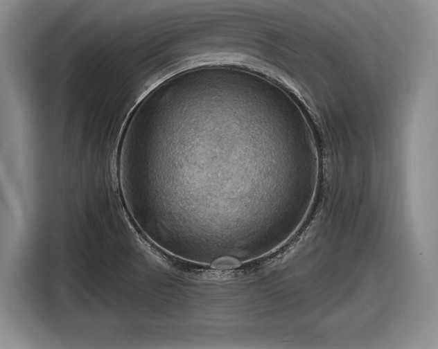 X0000116491521200912161308