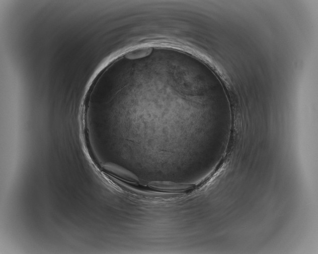 X0000116491522200912161308