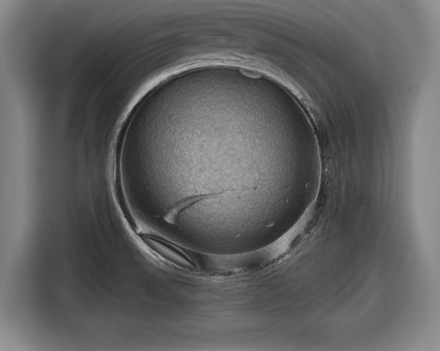 X0000116491523200912161308