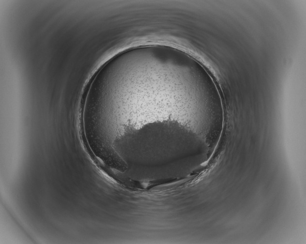 X0000116491525200912161308