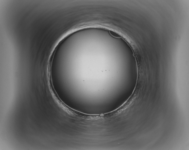 X0000116491526200912161308