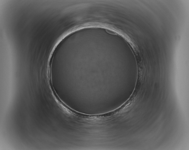 X0000116491527200912161308