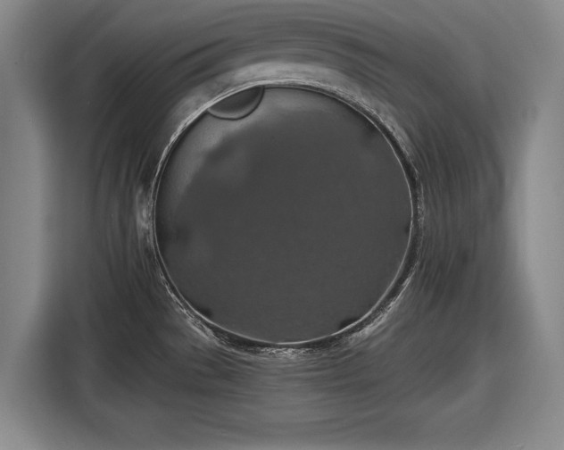 X0000116491529200912161308