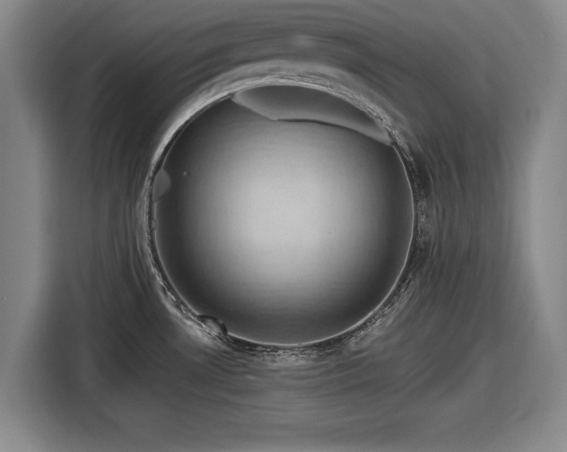 X0000116491530200912161308