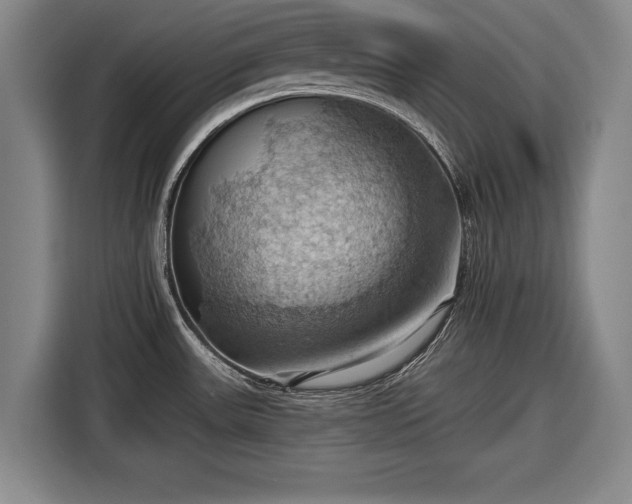 X0000116491531200912161308