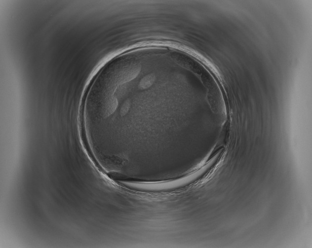 X0000116491533200912161308