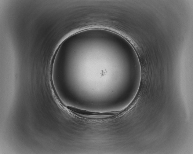 X0000116491534200912161308