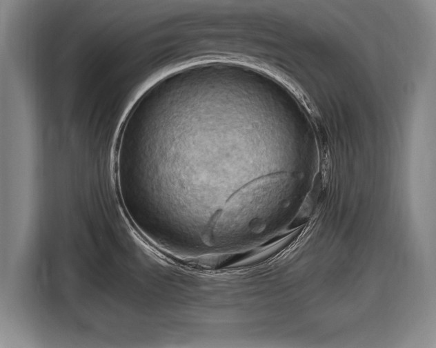 X0000116491535200912161308